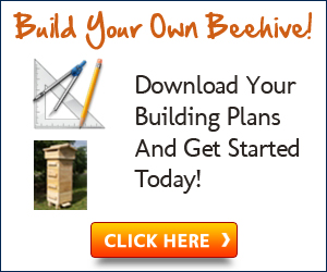 Build Your Own Beehive